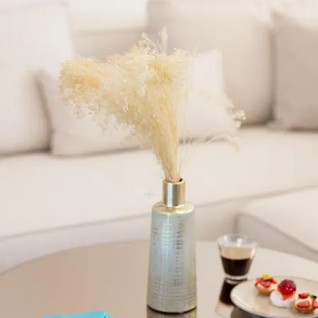 Apleton Apartment Agia Anna (Naxos)