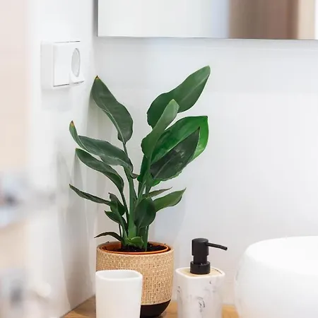 Apartment Apleton Agia Anna (Naxos)