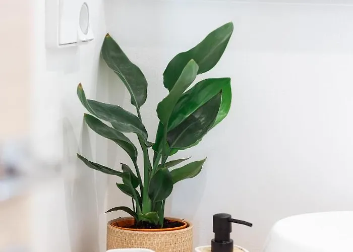 Apartamento Apleton Agia Anna (Naxos)